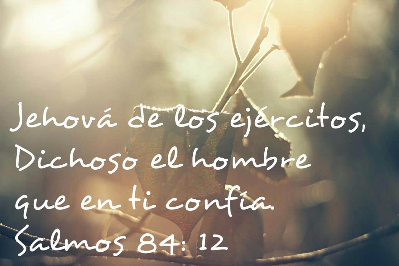 Conozca las mejores FRASES DE CONFIANZA EN DIOS