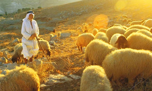  como debe ser un pastor según la Biblia