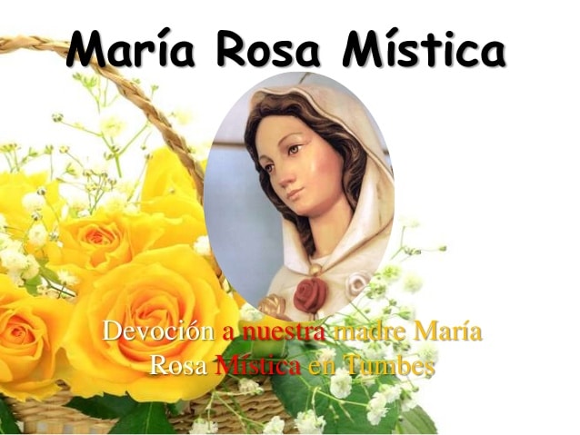 Rosa Mistica