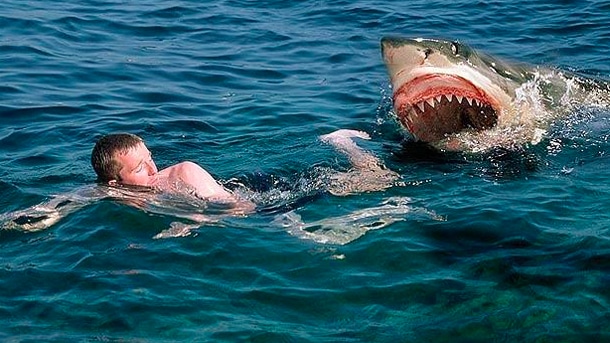 soñar con tiburones